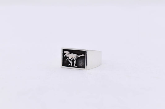Pre-Order ATE Silver Ring