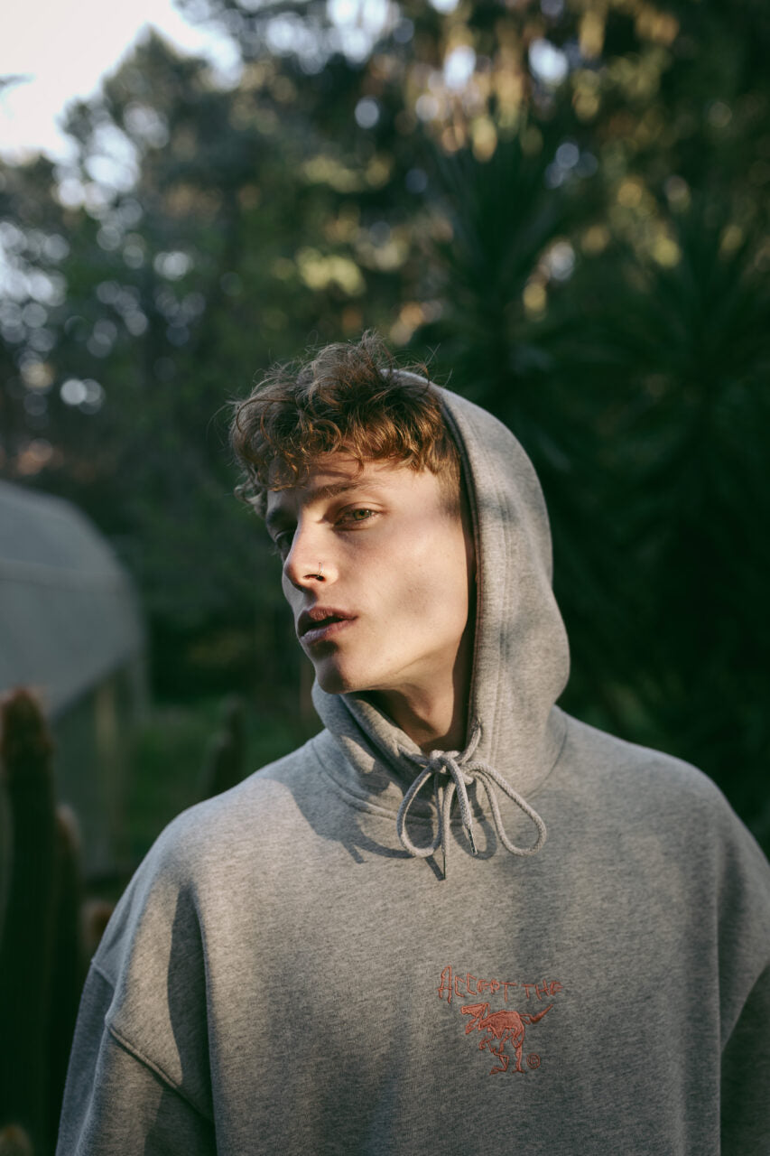 Hoodie ΑΤΕ Grey/Apple ''A.T.Error''