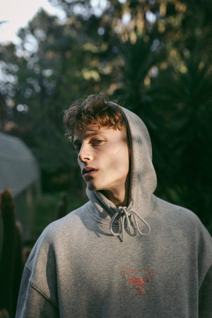 Hoodie ΑΤΕ Grey/Apple ''A.T.Error''