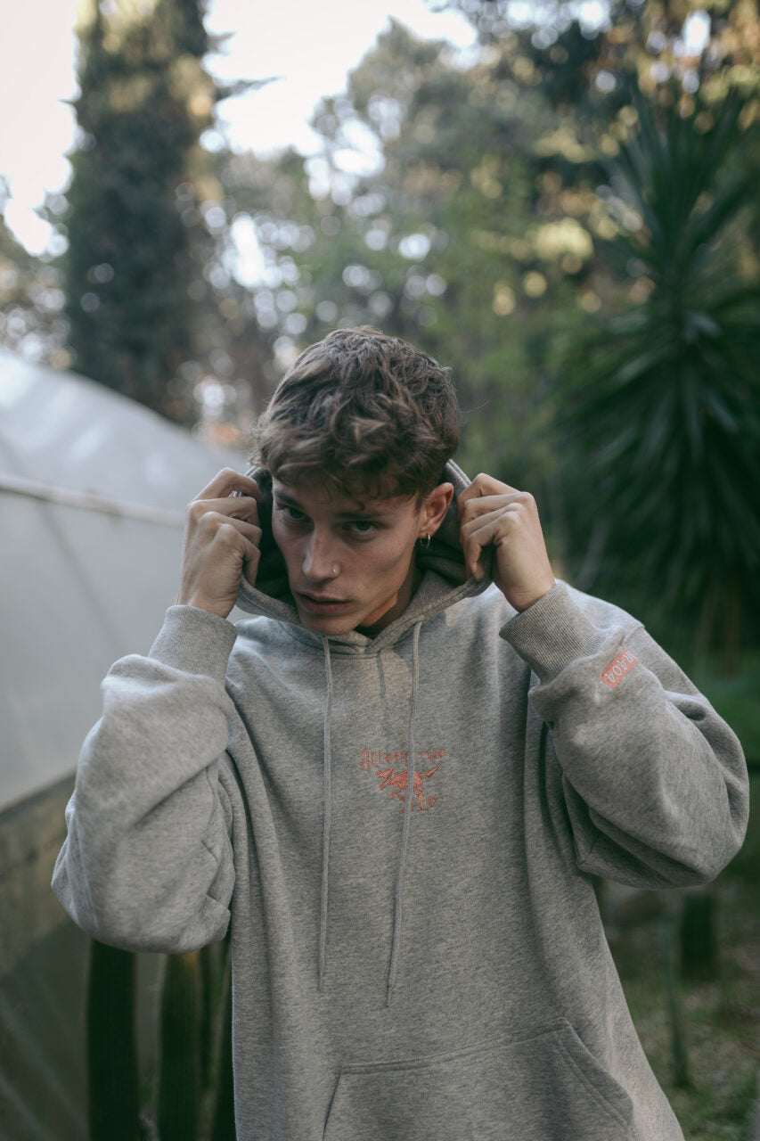 Hoodie ΑΤΕ Grey/Apple ''A.T.Error''