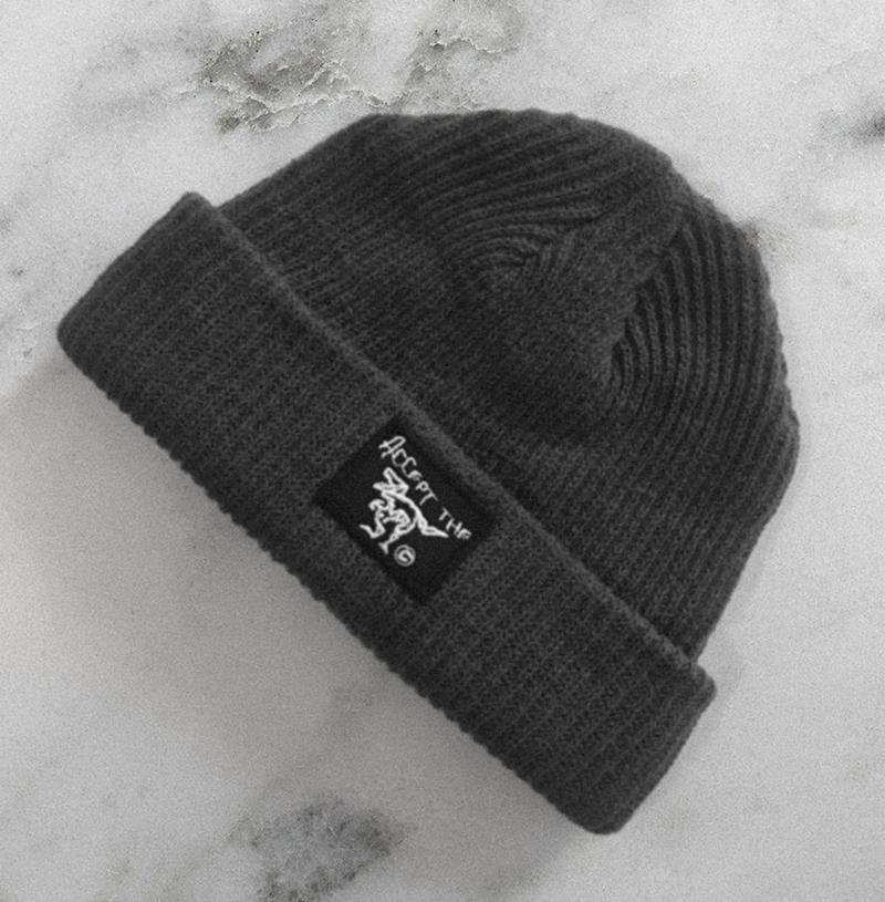 Beanie ATE Grey “Accept the error”